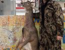 20221116 mancelona 68th buck pole 2022
