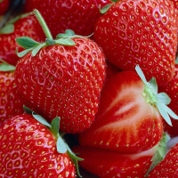 Strawberry Festival - Alden